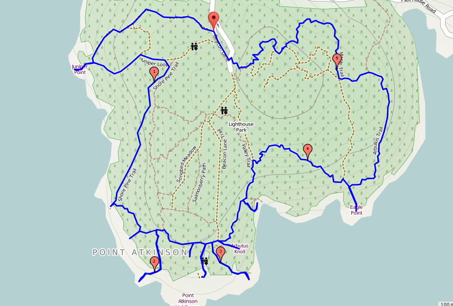 Lighthouse Park hiking trails
