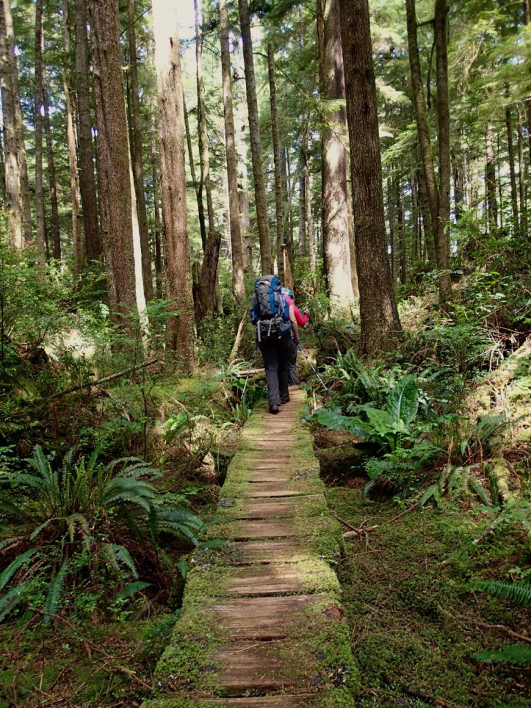 Hiking on boardwalk on the Wild Side Trail near Tofino, BC
