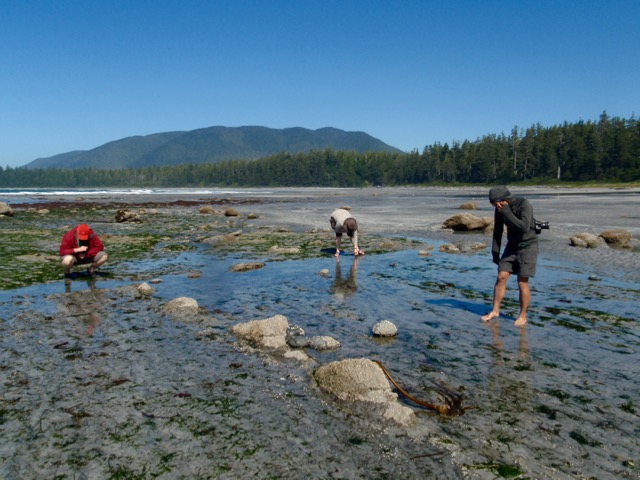 Beachcombing on the Nootka Trail