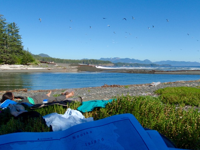 Beano Creek on the Nootka Trail