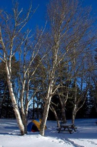 Winter Camping For Beginners