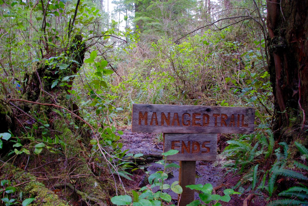 Big Tree Trail, Meares Island, Tofino BC