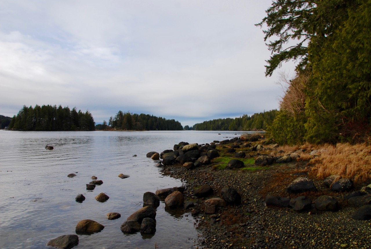 Big Tree Trail, Meares Island, Tofino BC