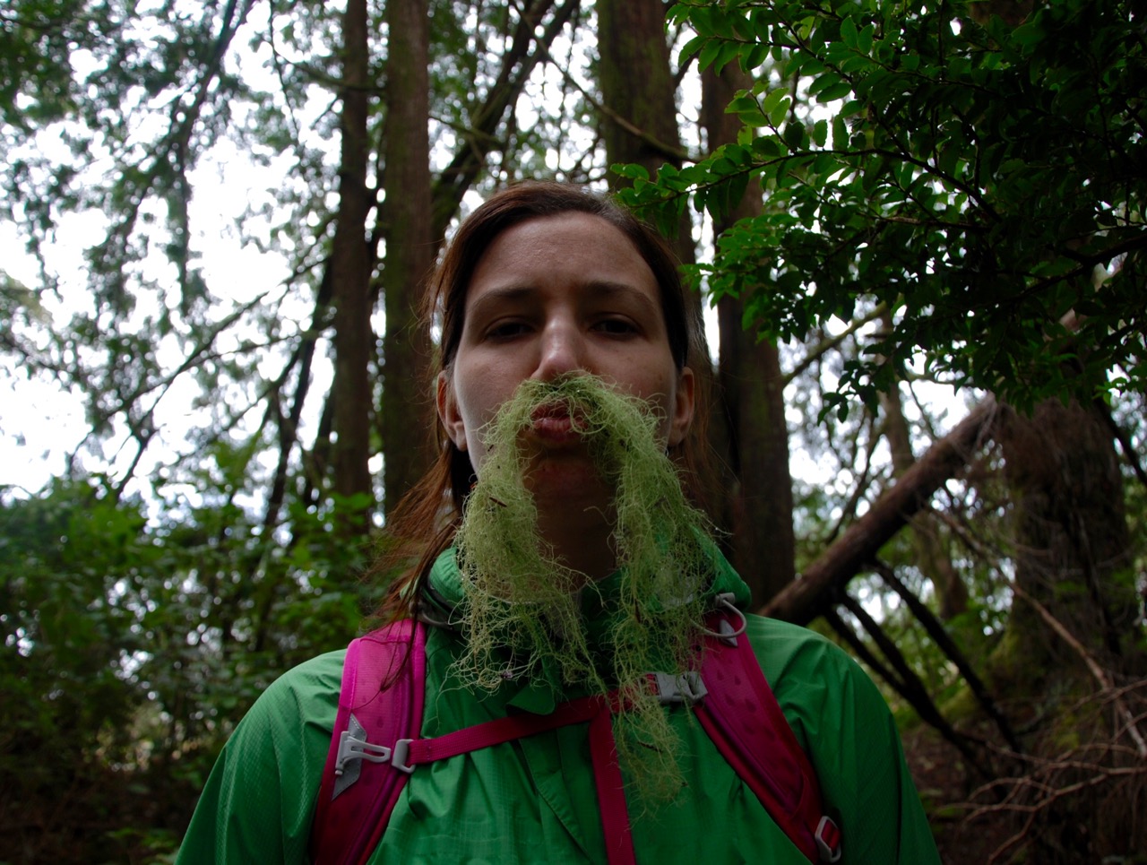 Big Tree Trail, Meares Island, Tofino BC