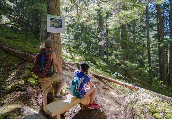 The Blackcomb Burn is Whistler's answer to the Grouse Grind.
