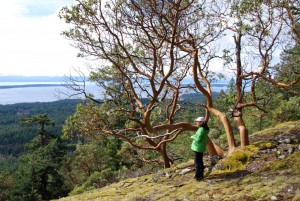 Backpacking Manzanita Bluff and Rievely’s Pond on the Sunshine Coast Trail