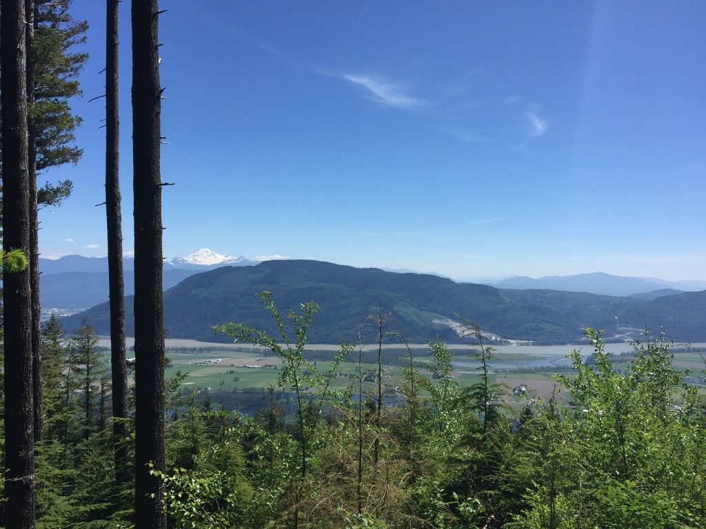 The Dewdney Grind in Mission BC is very steep! Even steeper than the Grouse Grind.