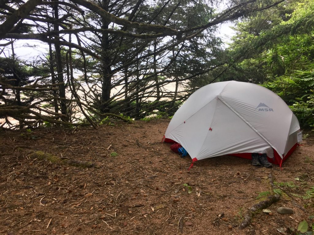 A small grey tent pitched in the forest at South Sand Point on the Ozette Loop