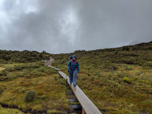 Why Do Rain Jackets Wet Out?