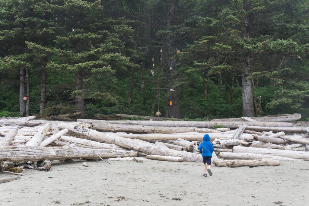 Fishing floats mark a campsite at Shi Shi Beach. A complete guide to hiking and camping at Shi Shi Beach.