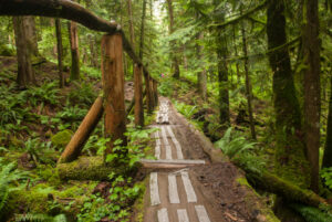 Snow-Free Hikes in Vancouver: 50+ Year-round Trails