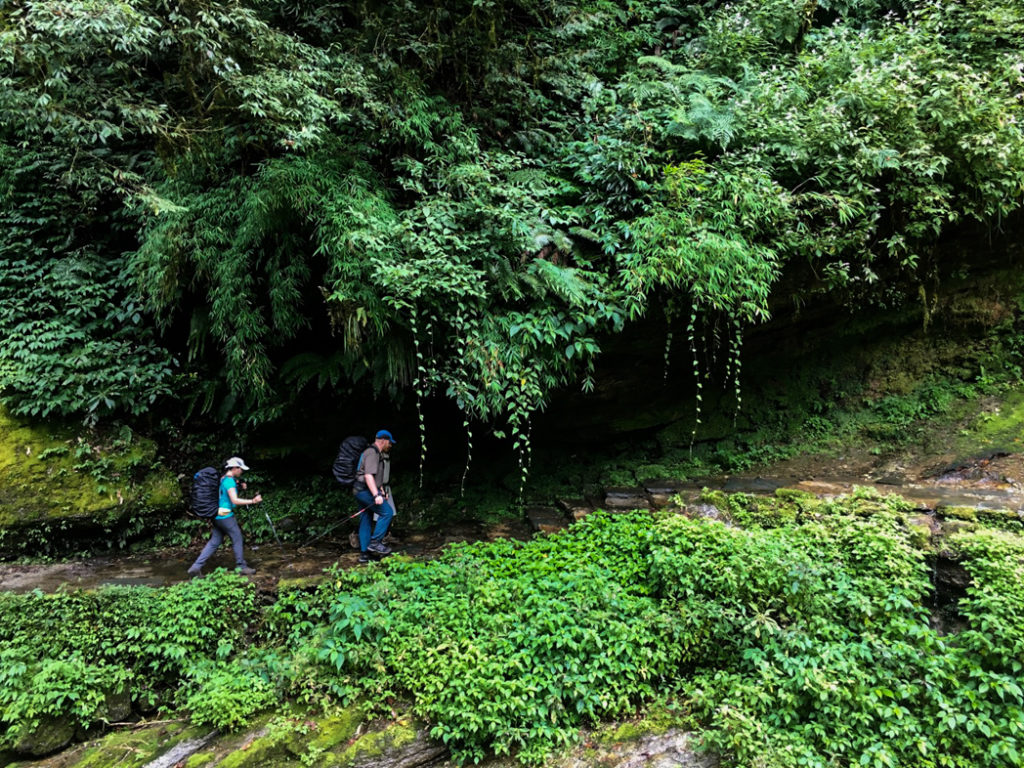 Trekking through the jungle at lower elevations on the Annapurna Base Camp trek. What to pack for the Annapurna Base Camp Trek in Nepal.