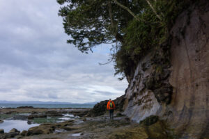 Pacific Marine Circle Route Road Trip Guide