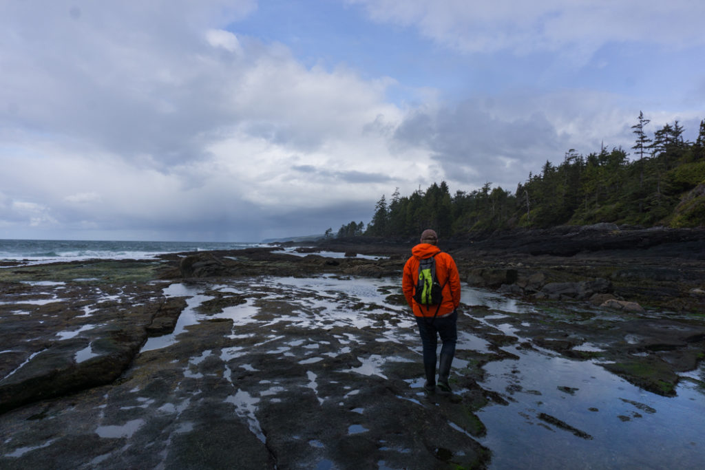There are endless tide pools at Botanical Beach. Explore them as part of a road trip on the Pacific Marine Circle Route on Vancouver Island.