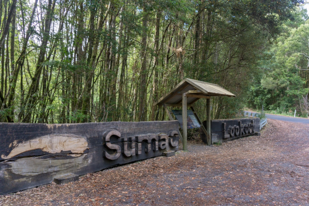 Sumac Lookout on the Tarkine Drive in Tasmania