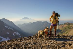 How to Leave No Trace With Dogs