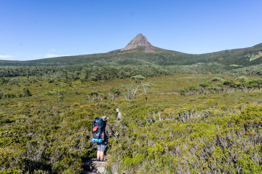 Hiking near Barn Bluff on the second Overland Tracks section from Waterfall Valley to Windermere