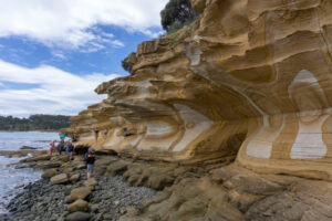 How to Visit Maria Island, Tasmania