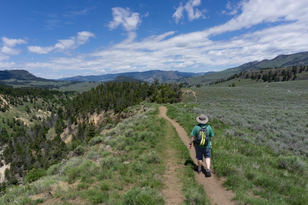 A hiker on a trail above the Yellowstone River