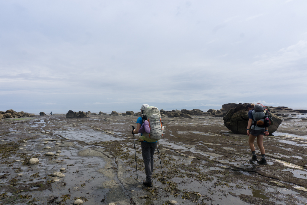 Hikers walk on the sandstone shelf on the West Coast Trail
