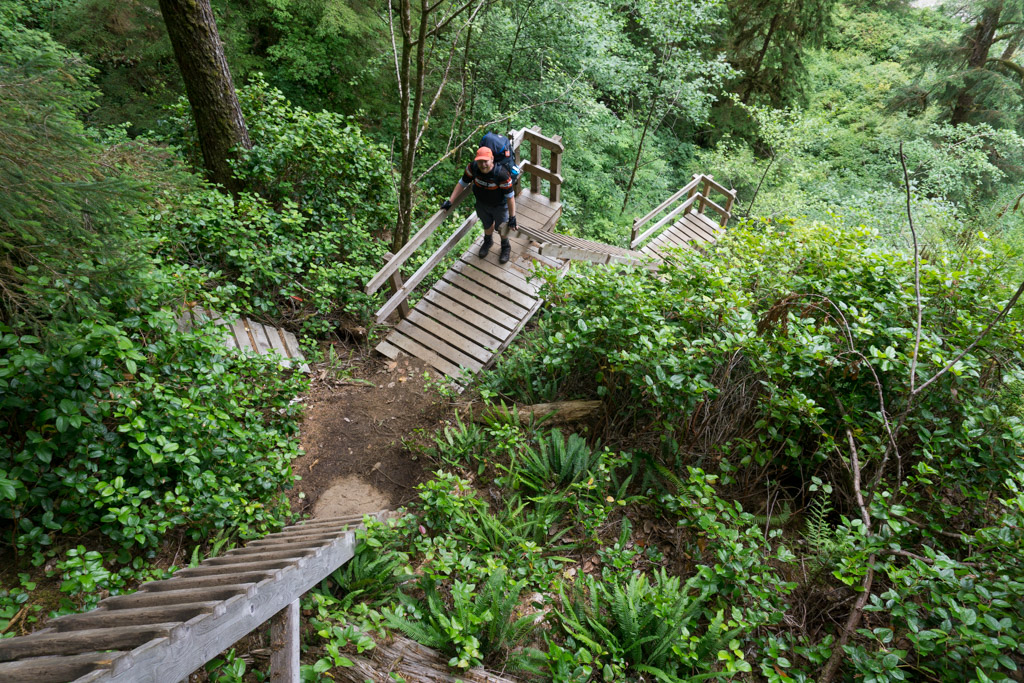 A hiker climbing the ladders at Cullite Creek on the West Coast Trail