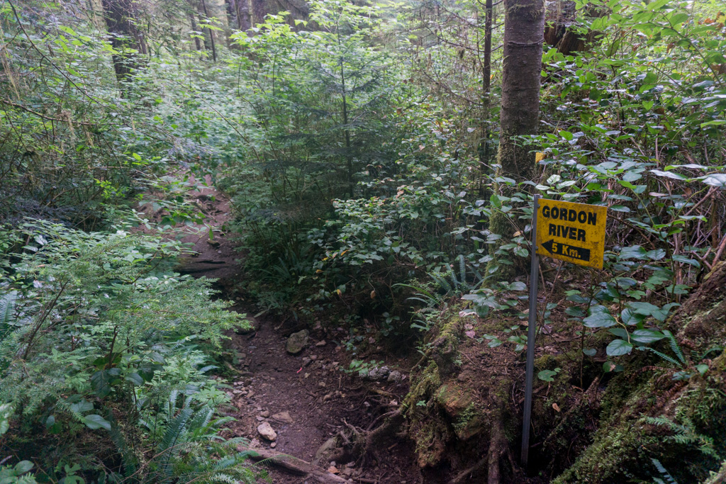 Lots of brush on the trail at the Thrasher Cove junction on the West Coast Trail