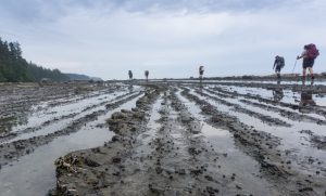 West Coast Trail Section-By-Section Overview
