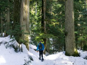 Best Gifts for Snowshoers in 2025 (25+ Ideas)