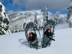 How to Choose Snowshoes – Get the Right Ones for You