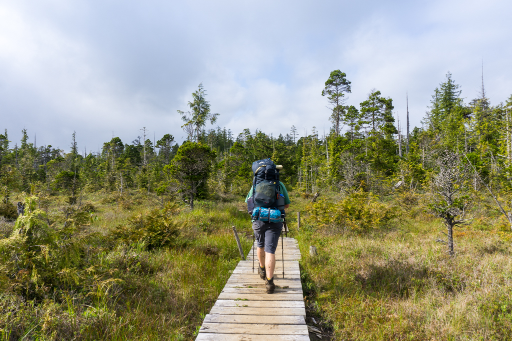 Boardwalk on the Cape Scott Trail