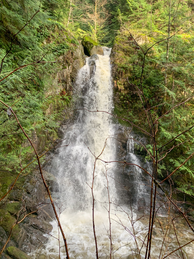 View of Langdale Falls from the base of the falls