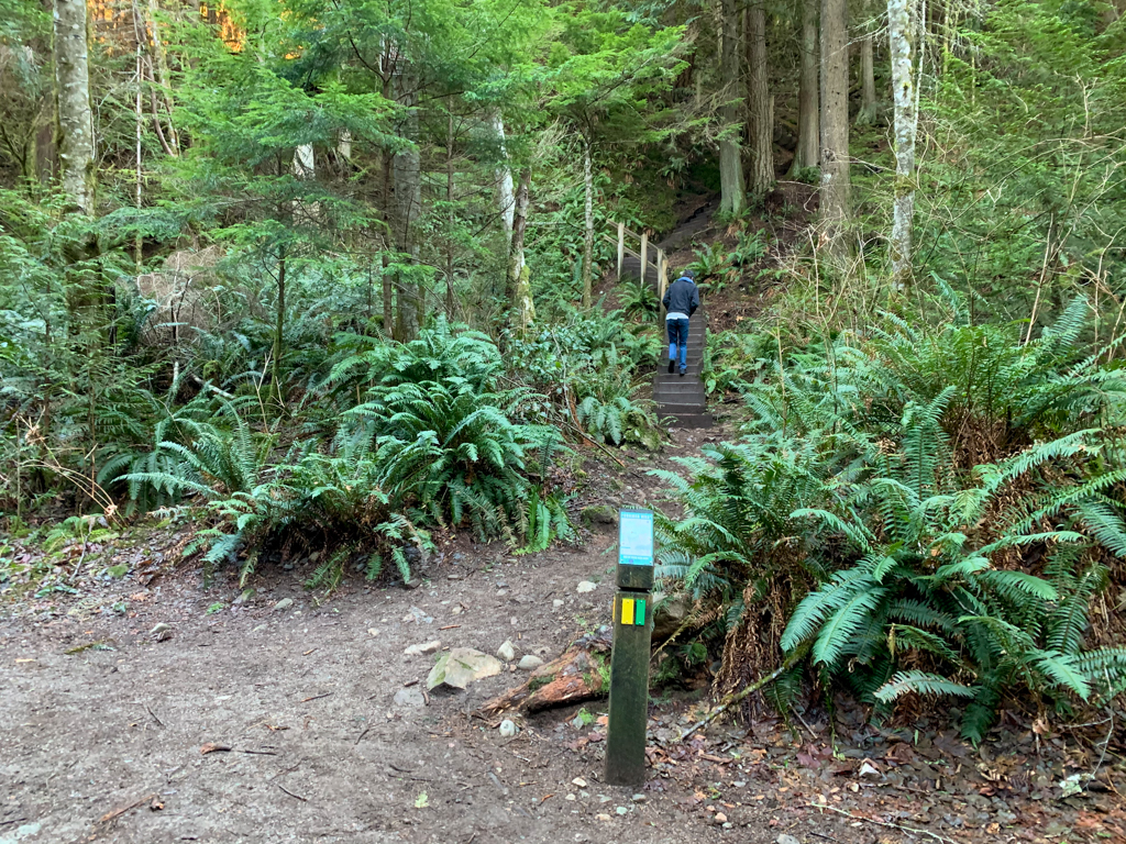 Trail junction on the Soames Hill hike on the Sunshine Coast, BC