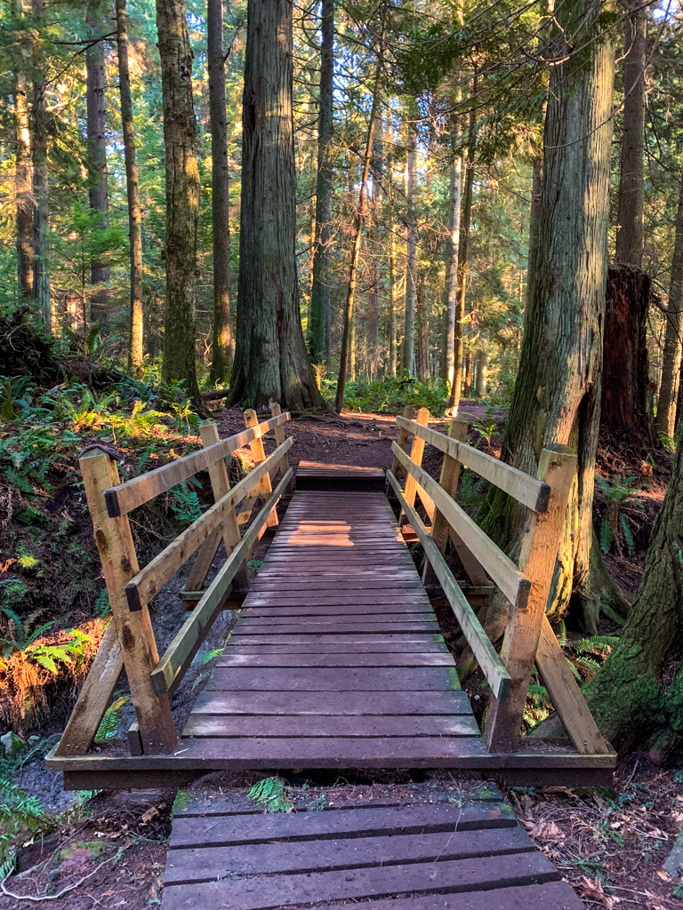 Wooden bridge in Soames Hill Park