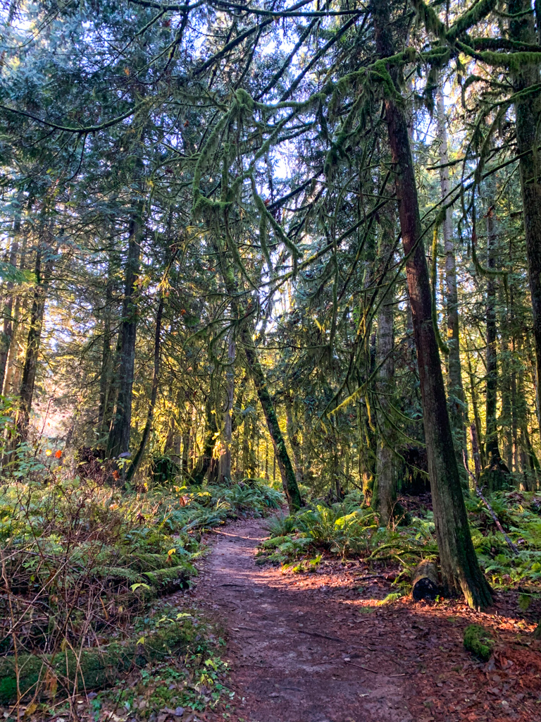 Chapman Creek Trail on the Sunshine Coast, BC