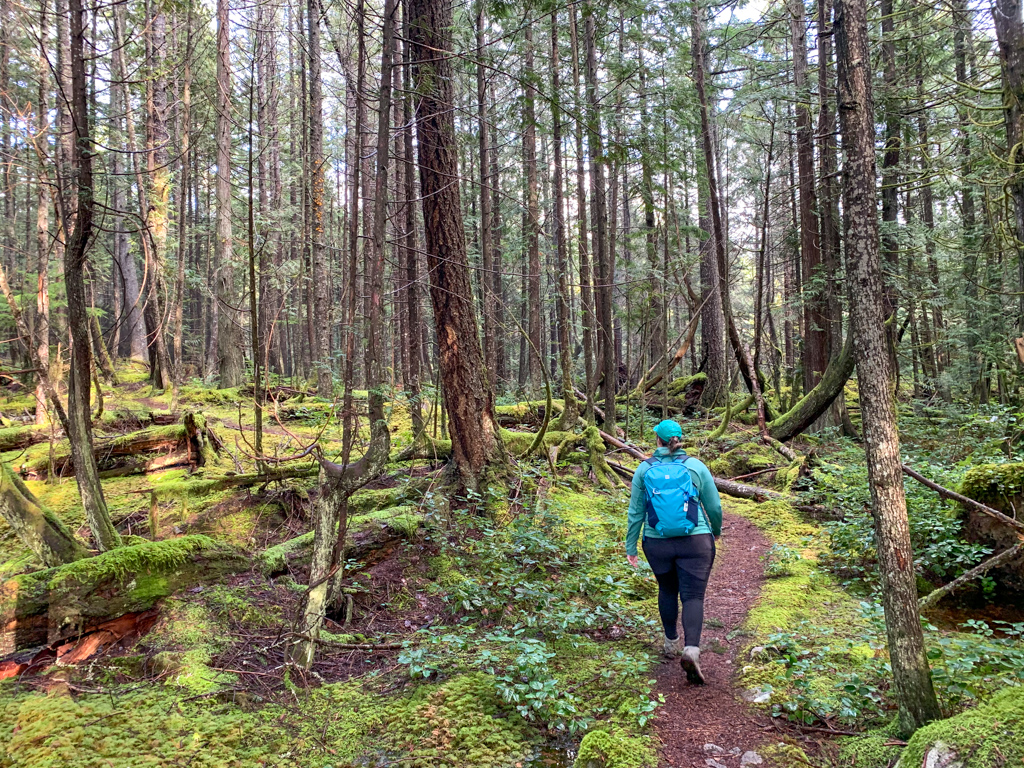 The trail to Triangle Lake near Halfmoon Bay on the Sunshine Coast, BC