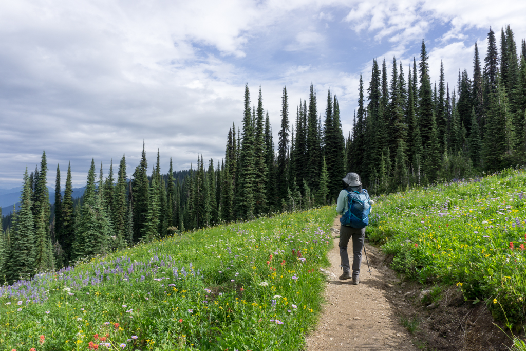 Wildflowers along the trail to Eva Lake in Mount Revelstoke National Park