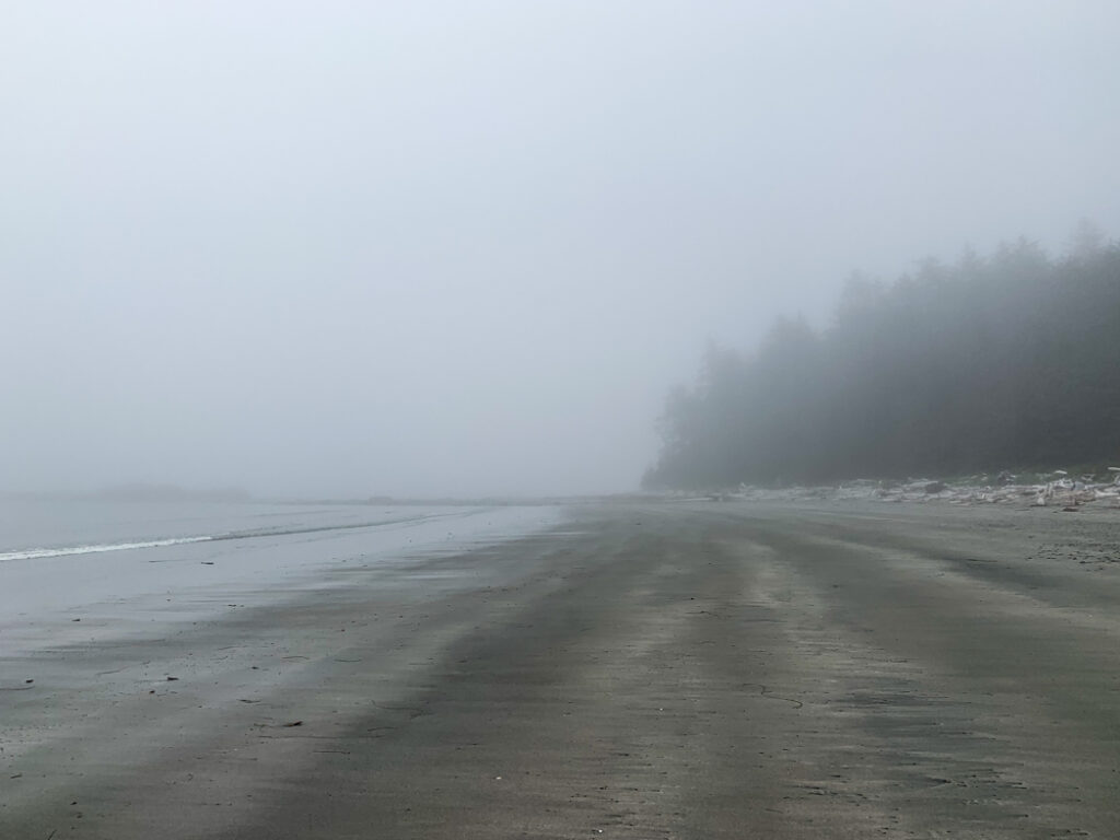 Fog at Shuttleworth Bight on the NorthCoast Trail