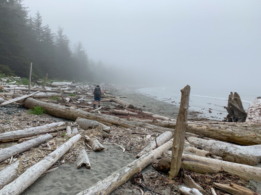 Hiking near Shuttleworth Bight on the North Coast Trail
