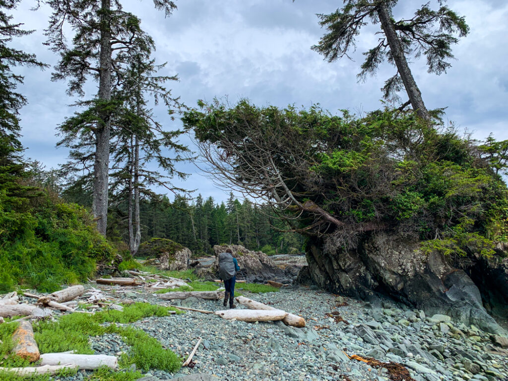Pocket cove on the North Coast Trail