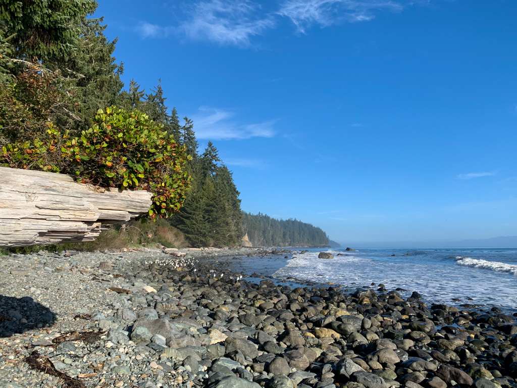 The view from Bear Beach Camp