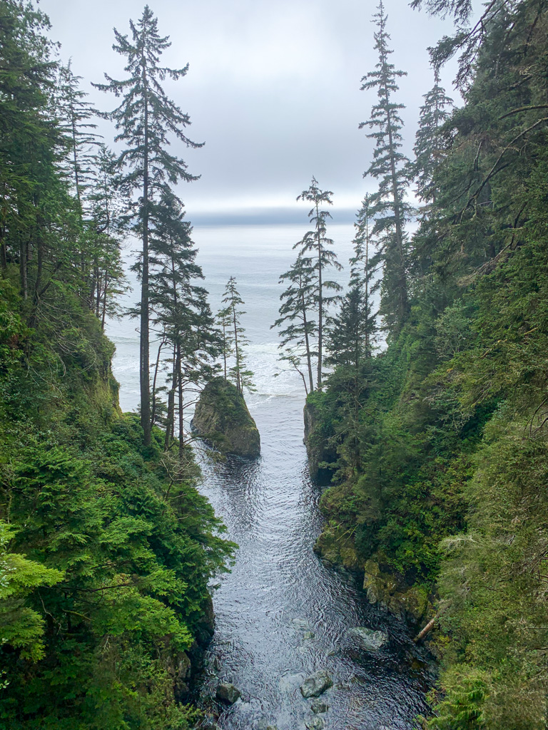 View from Loss Creek Suspension Bridge
