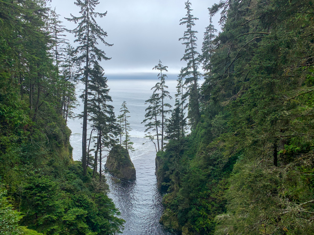 View from the Loss Creek Suspension Bridge on the Juan de Fuca Trail