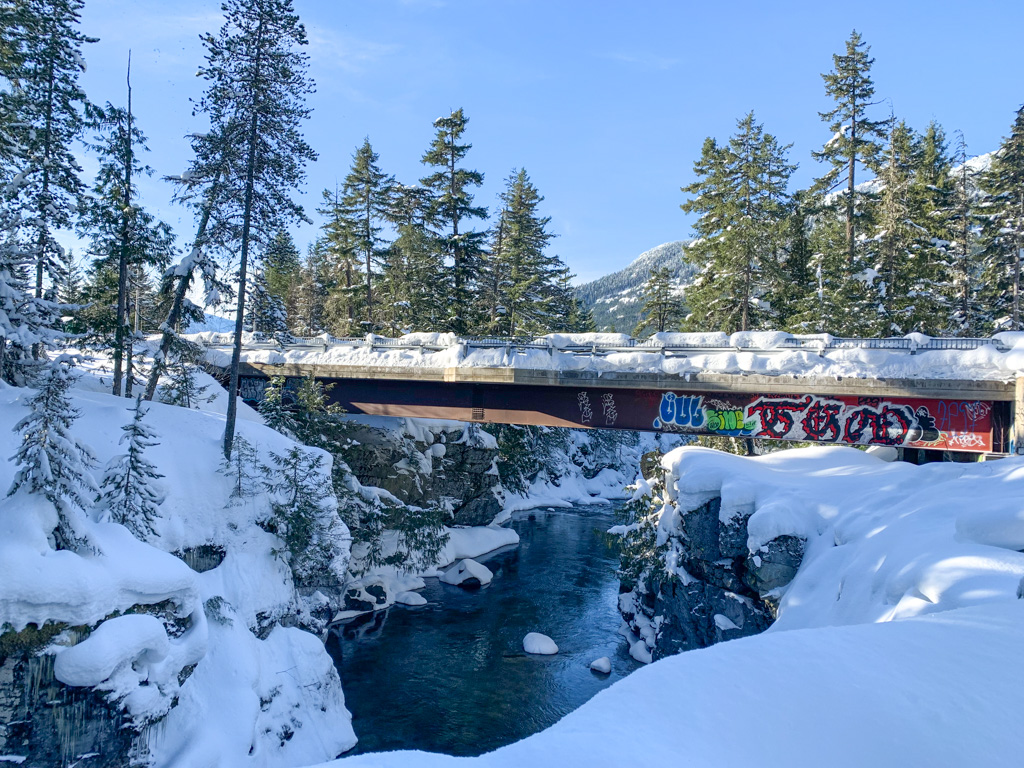 Bridge over the Cheakamus River