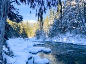 Cheakamus River Snowshoe Trail in Whistler