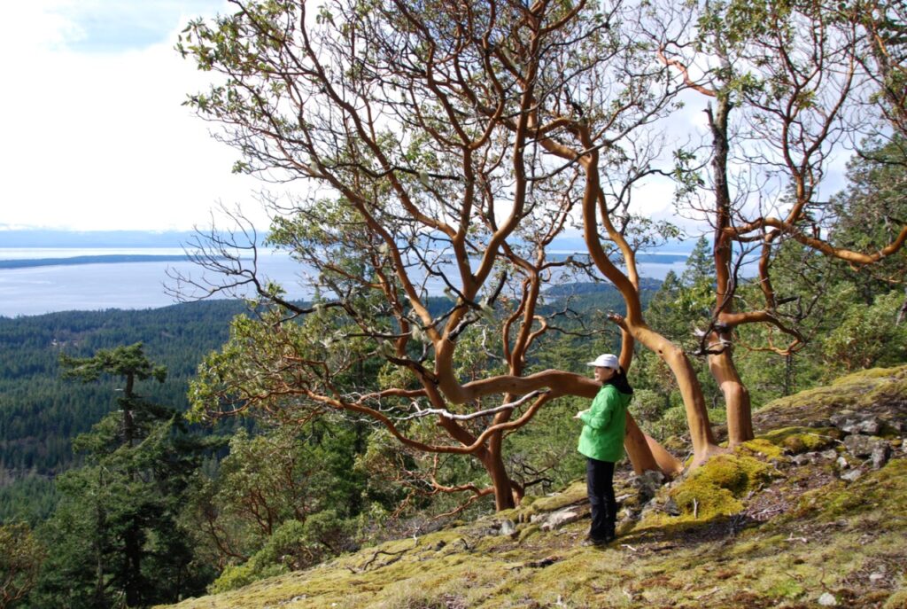 View from Manzanita Bluff on the Sunshine Coast Trail - one of the best spring backpacking trips in British Columbia