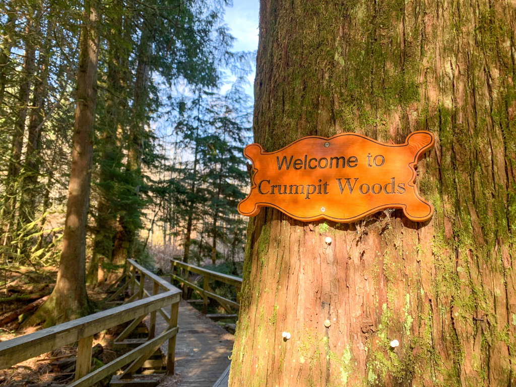 Bridge at the entrance to Crumpit Woods