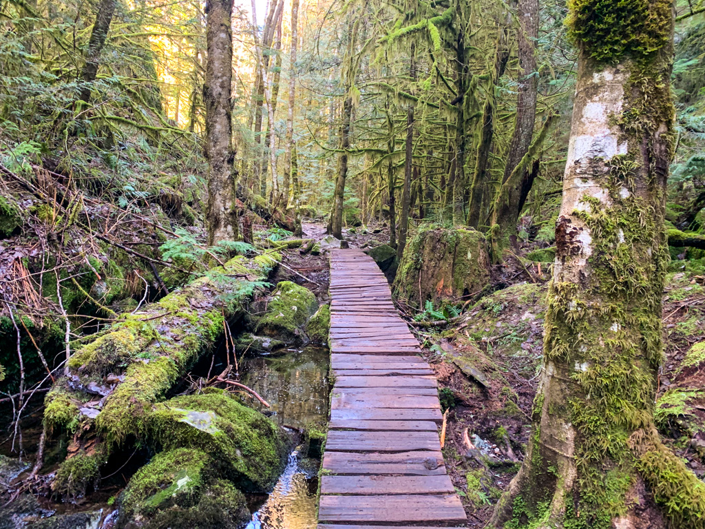 Boardwalk over Little Stawamus Creek on the S+M Connector Trail