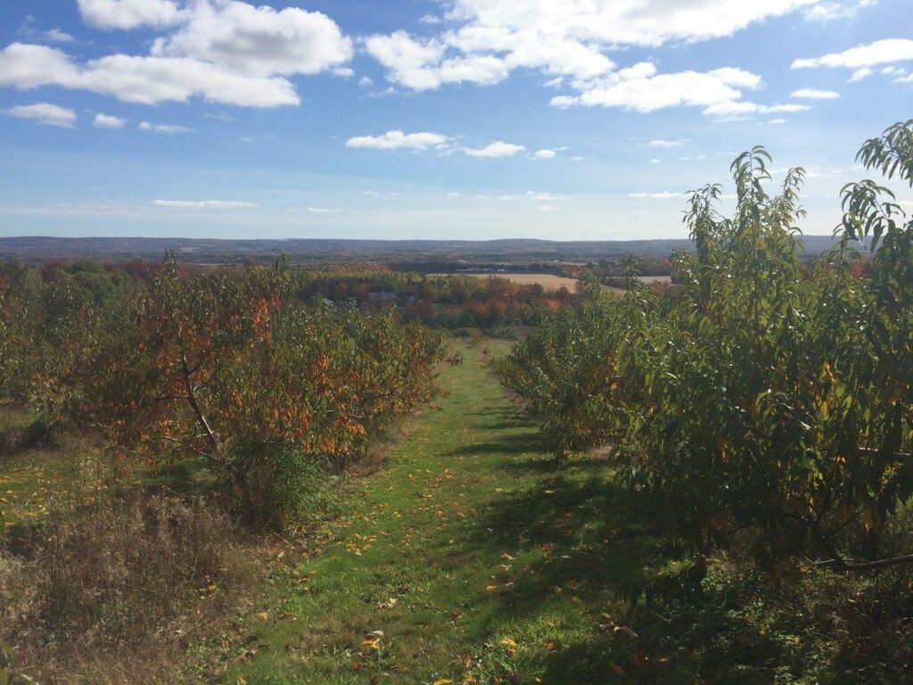 Apple picking in Wolfville, Nova Scotia, one of the best small towns in Canada for outdoor adventure