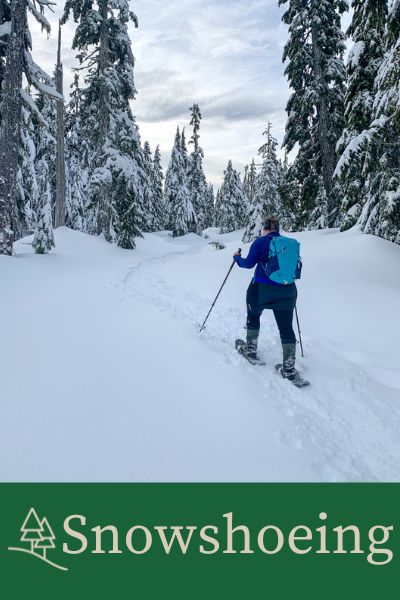 Snowshoeing category button