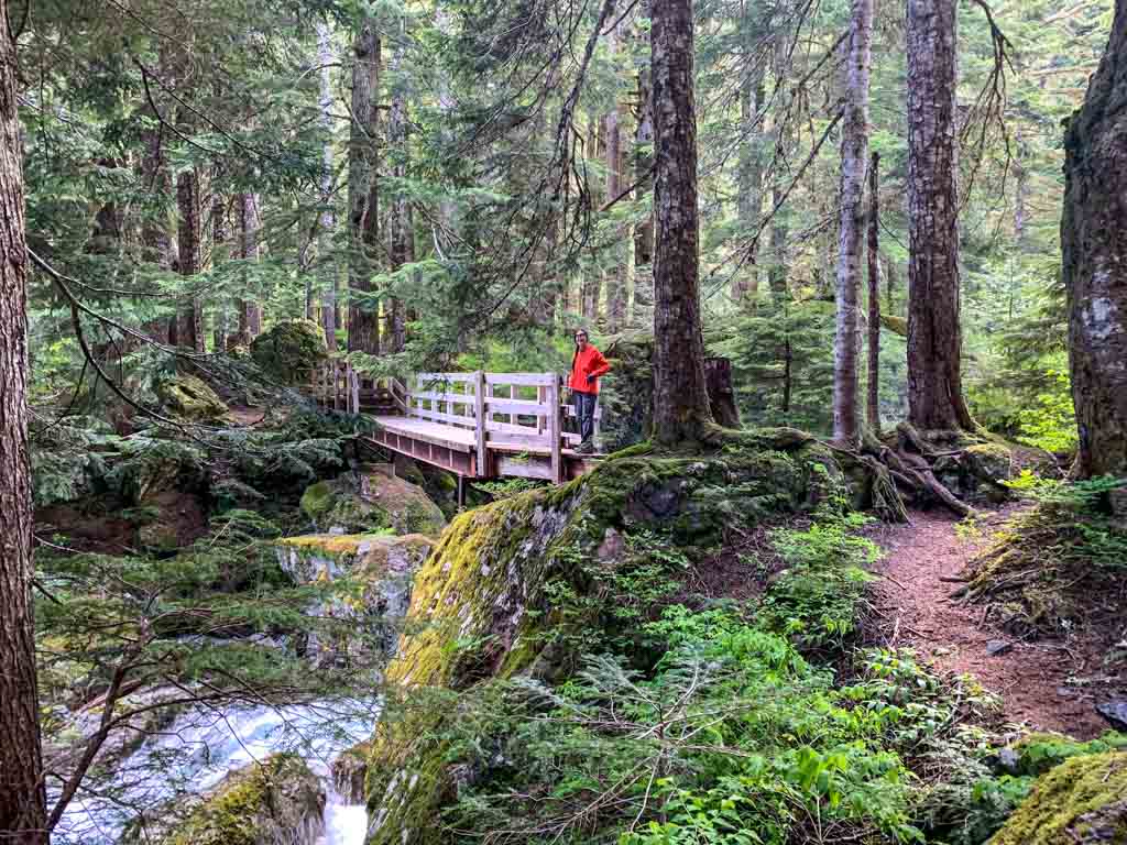A hiker crosses the bridge near Saw Blades Camp